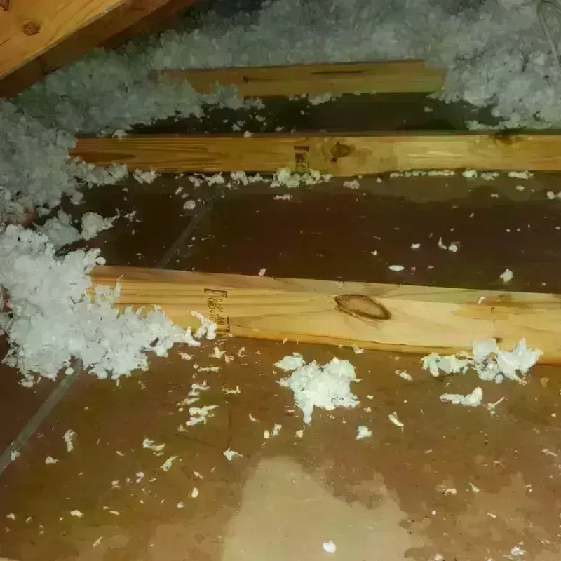 Attic Water Damage in Canadian, TX