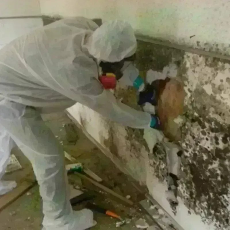 Mold Remediation and Removal in Canadian, TX