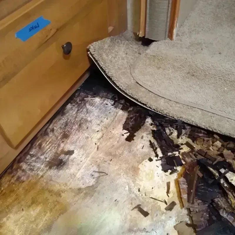 Best Wood Floor Water Damage Service in Canadian, TX